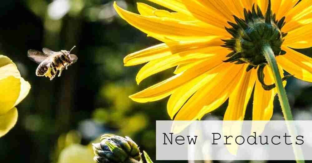 New Bee Themed Card Kits