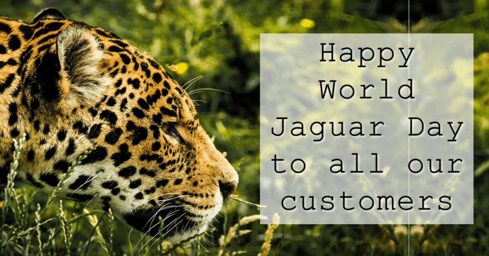 World Jaguar Day