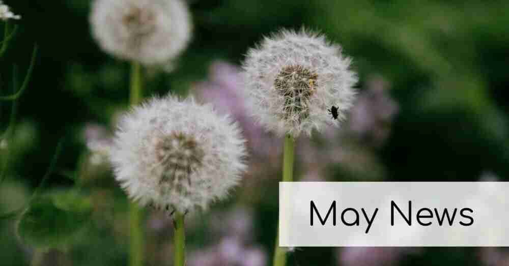May News!
