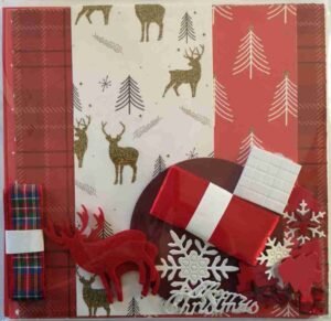07-Red-5 - The Craft Box Blog - Paisley Red