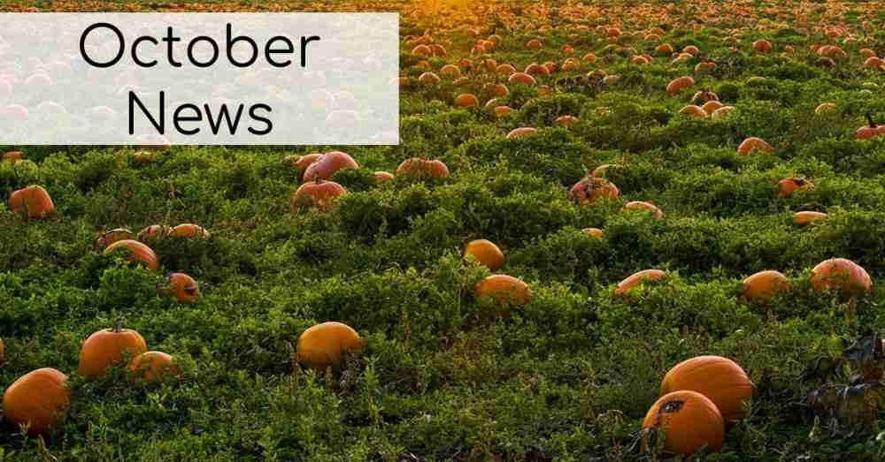 The Craft Box - October News!