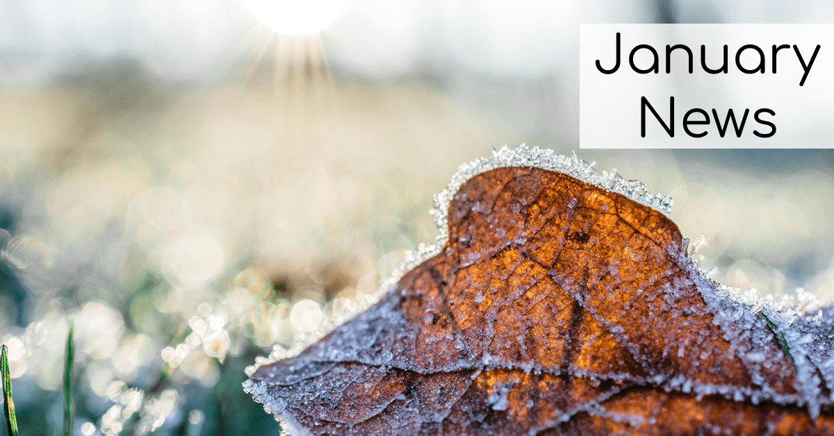 January News!