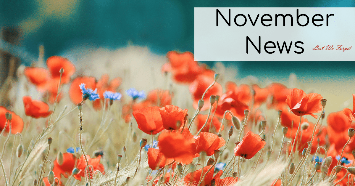 November News!