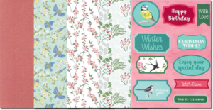 RSPB Inspired A4 Topper Set - A4TSGDD-501 - The Craft Box Blog - Paisley RSPB Inspired A4 Topper Set