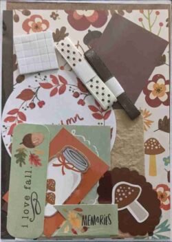 17-Brown