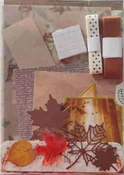 27-Brown-Cream